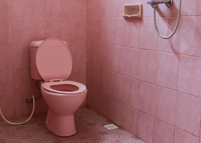 Konukevi Citrus Tree - Arik *