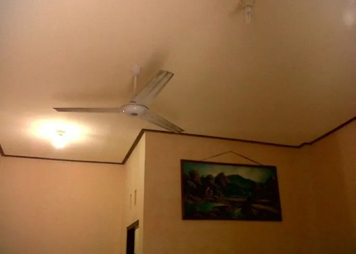 Citrus Tree - Arik Ubud