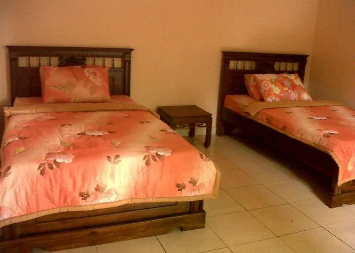 Citrus Tree - Arik Konukevi